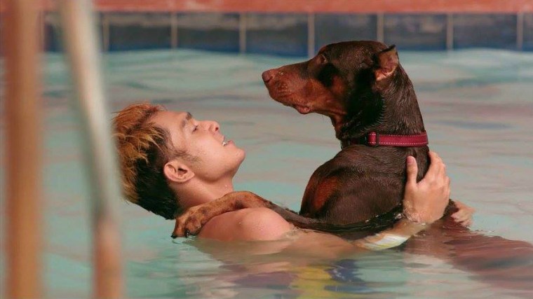 ringgo the dog-shooter movie 2