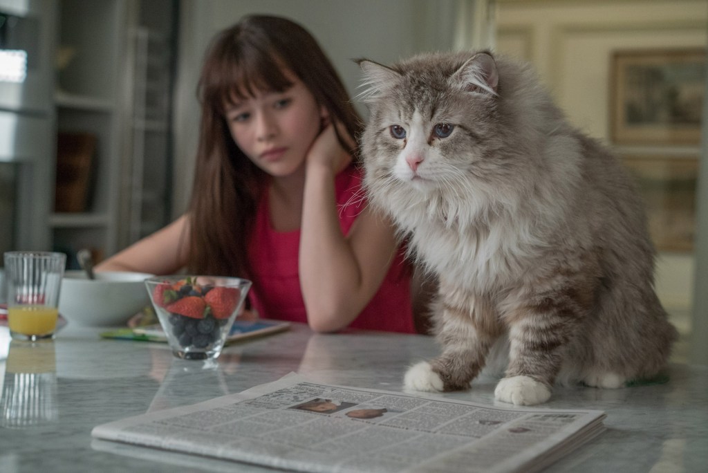 Kevin Spacey becomes cat in magical family comedy ‘Nine&nbsp;Lives’