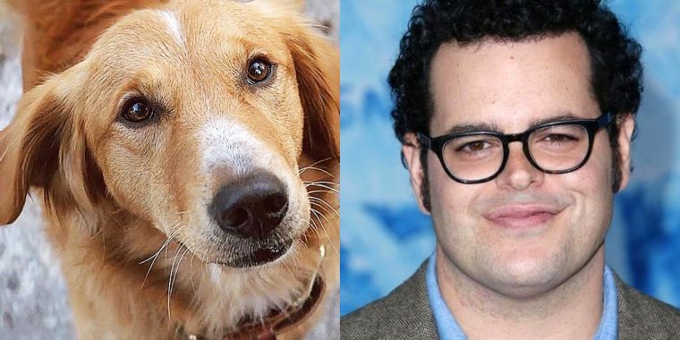 a-dogs-purpose-movie-josh-gad