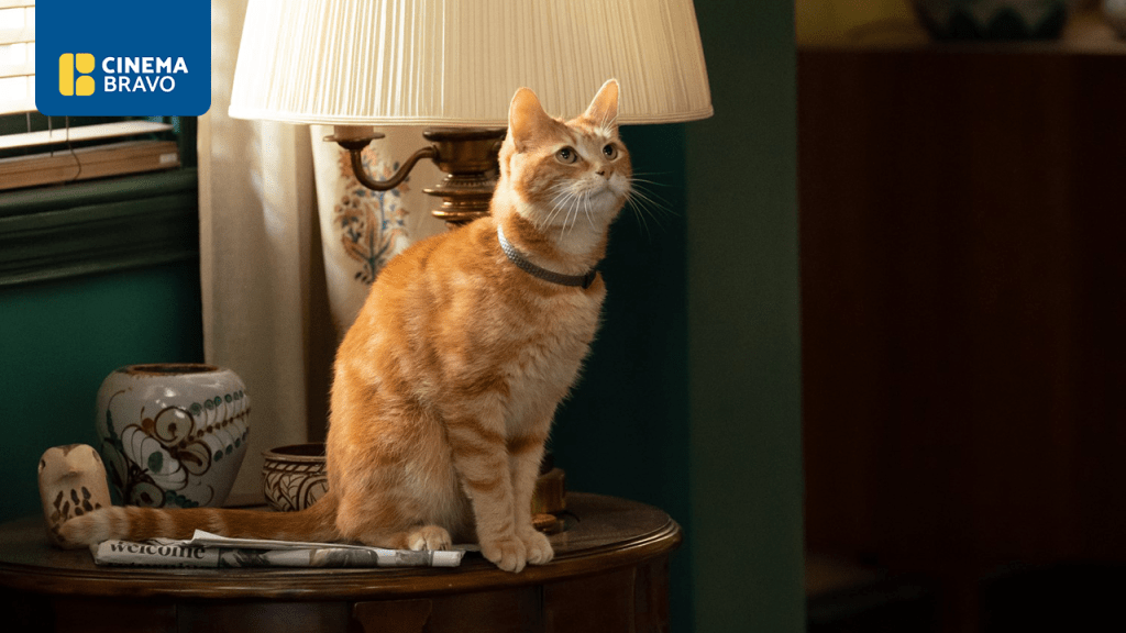 Marvel Studios’ sequel film ‘The Marvels’  urges viewers to go higher, further,&nbsp;faster