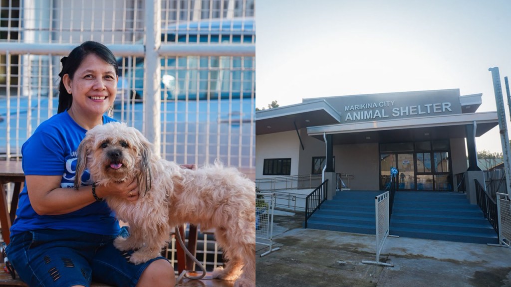 Marikina City opens animal rescue shelter for dogs and&nbsp;cats